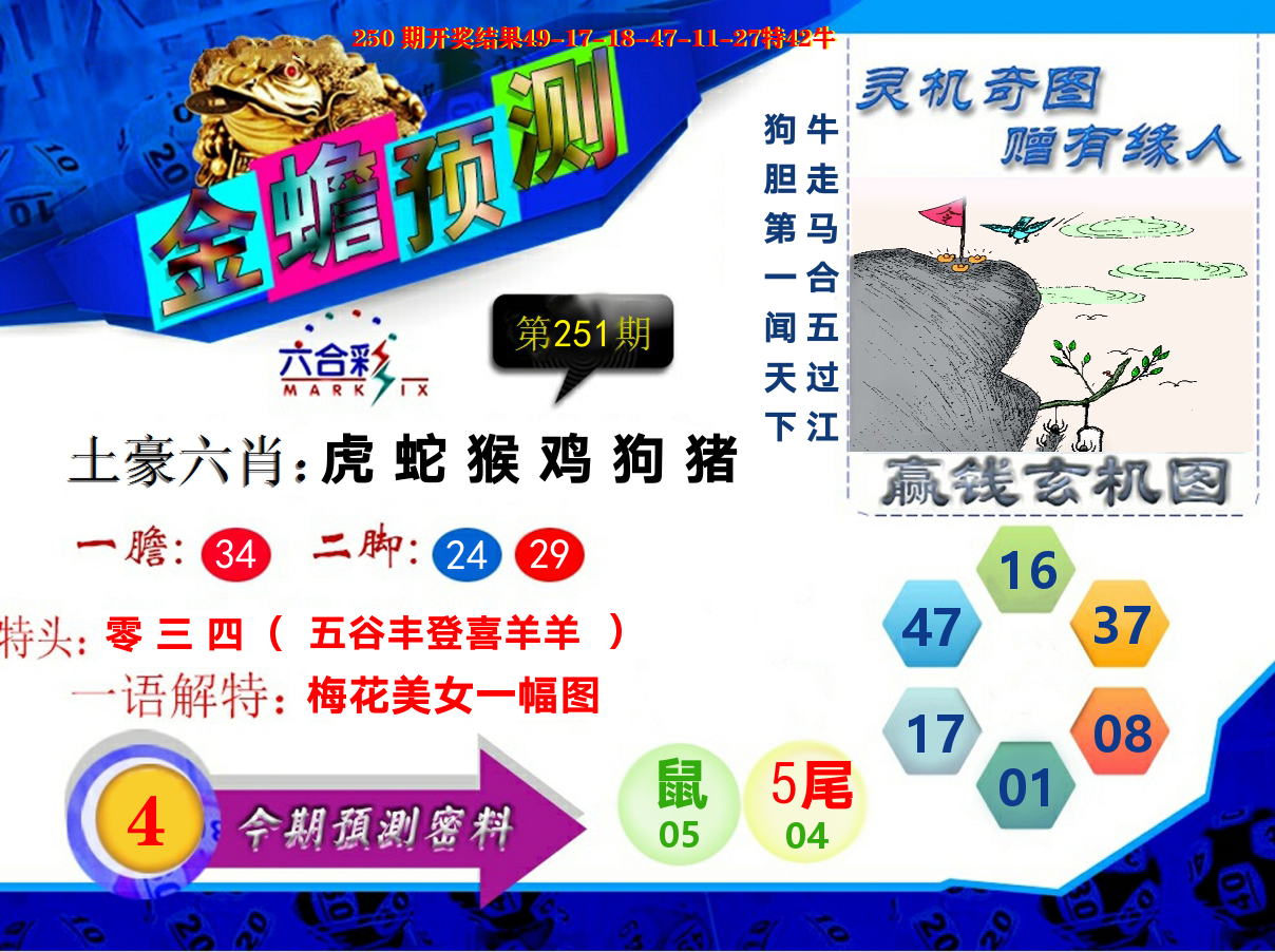 金蟾预测 第251期