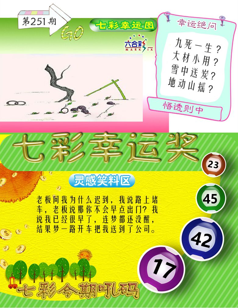 七彩幸运奖 第251期