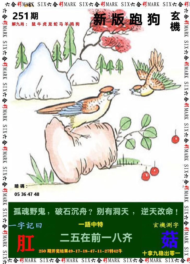 悟入其图 第251期
