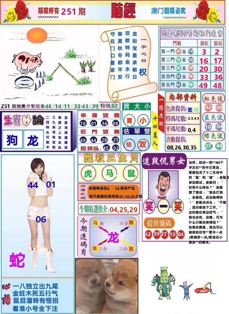 澳门赌经 第251期