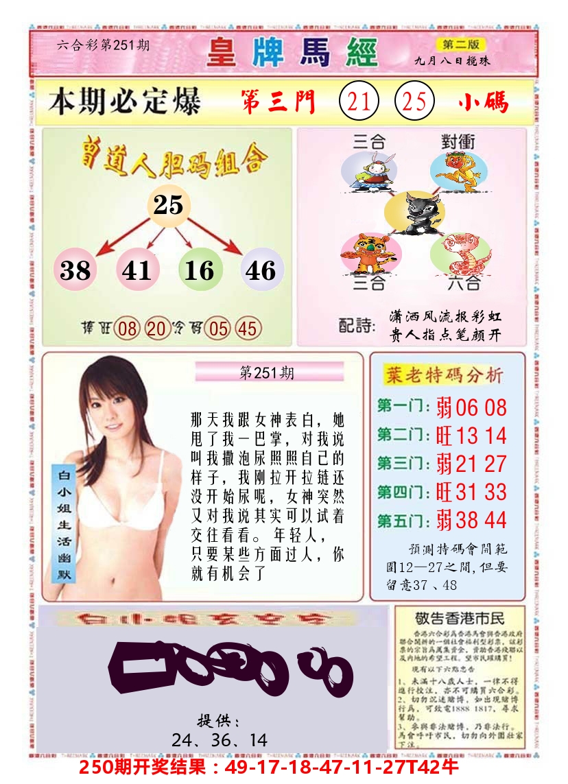 澳门皇牌马经B 第251期