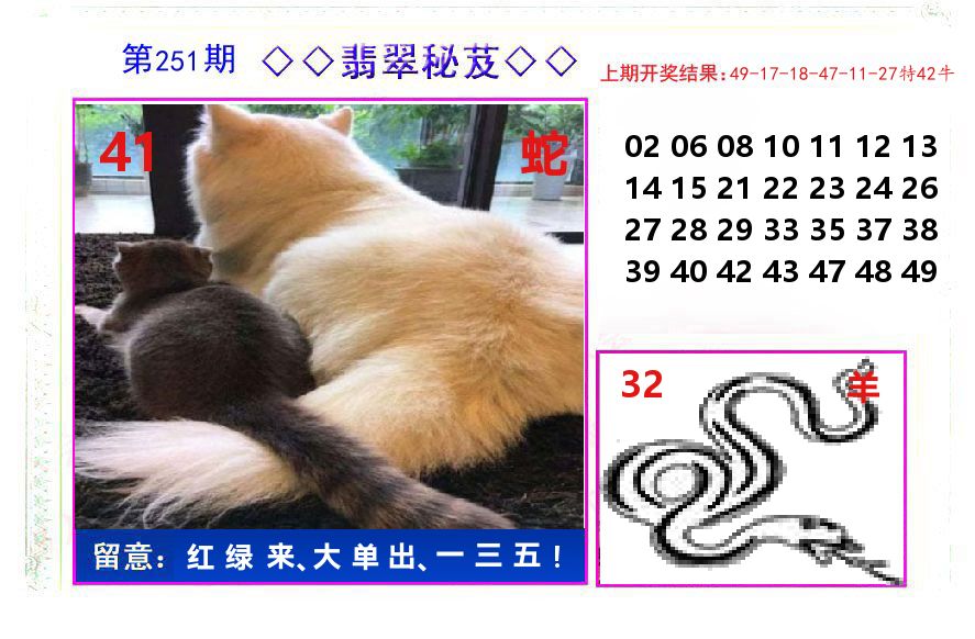 翡翠秘芨 第251期