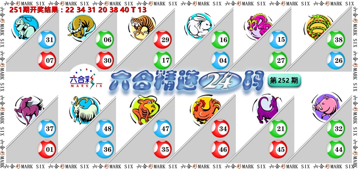六合精选24码 第252期