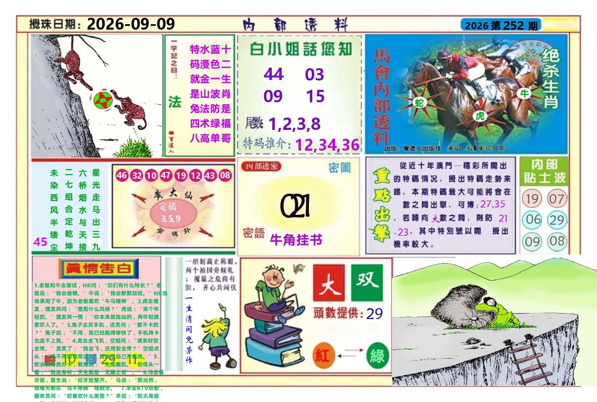 澳门内部透料A 第252期
