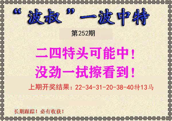 波叔中特 第252期