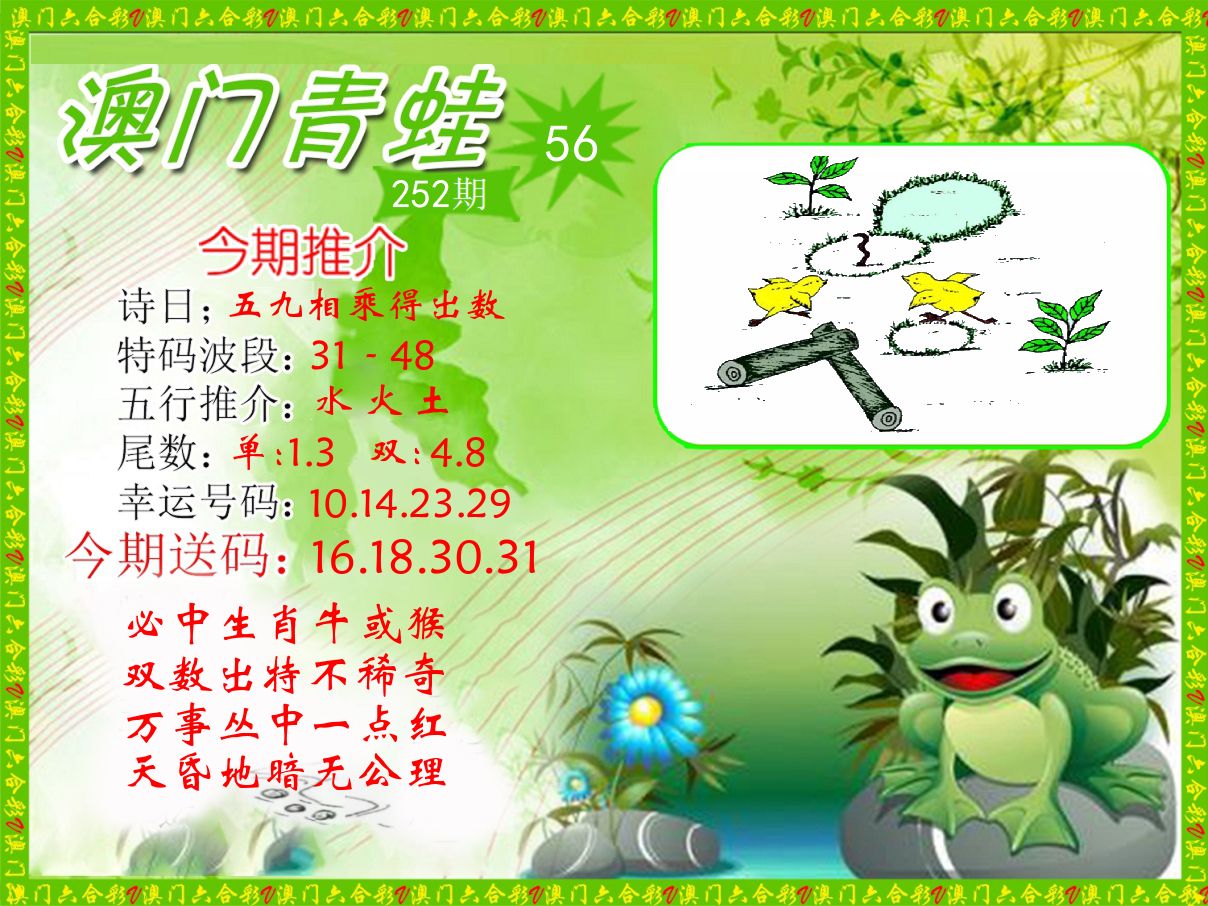 青蛙系列56 第252期