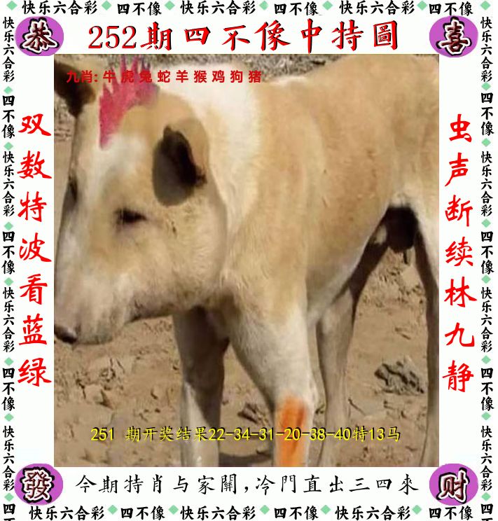 四不像 第252期