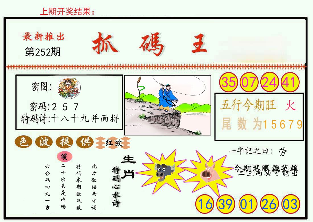 最新抓码王 第252期