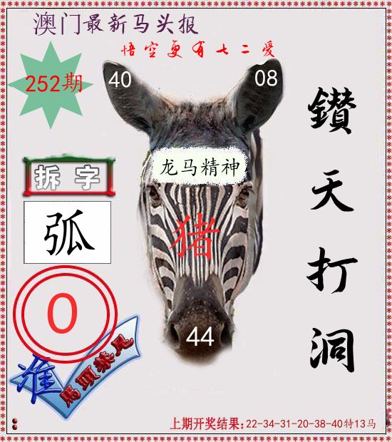 马头报 第252期