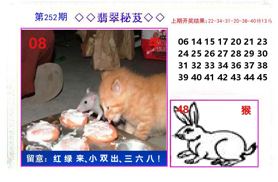翡翠秘芨 第252期