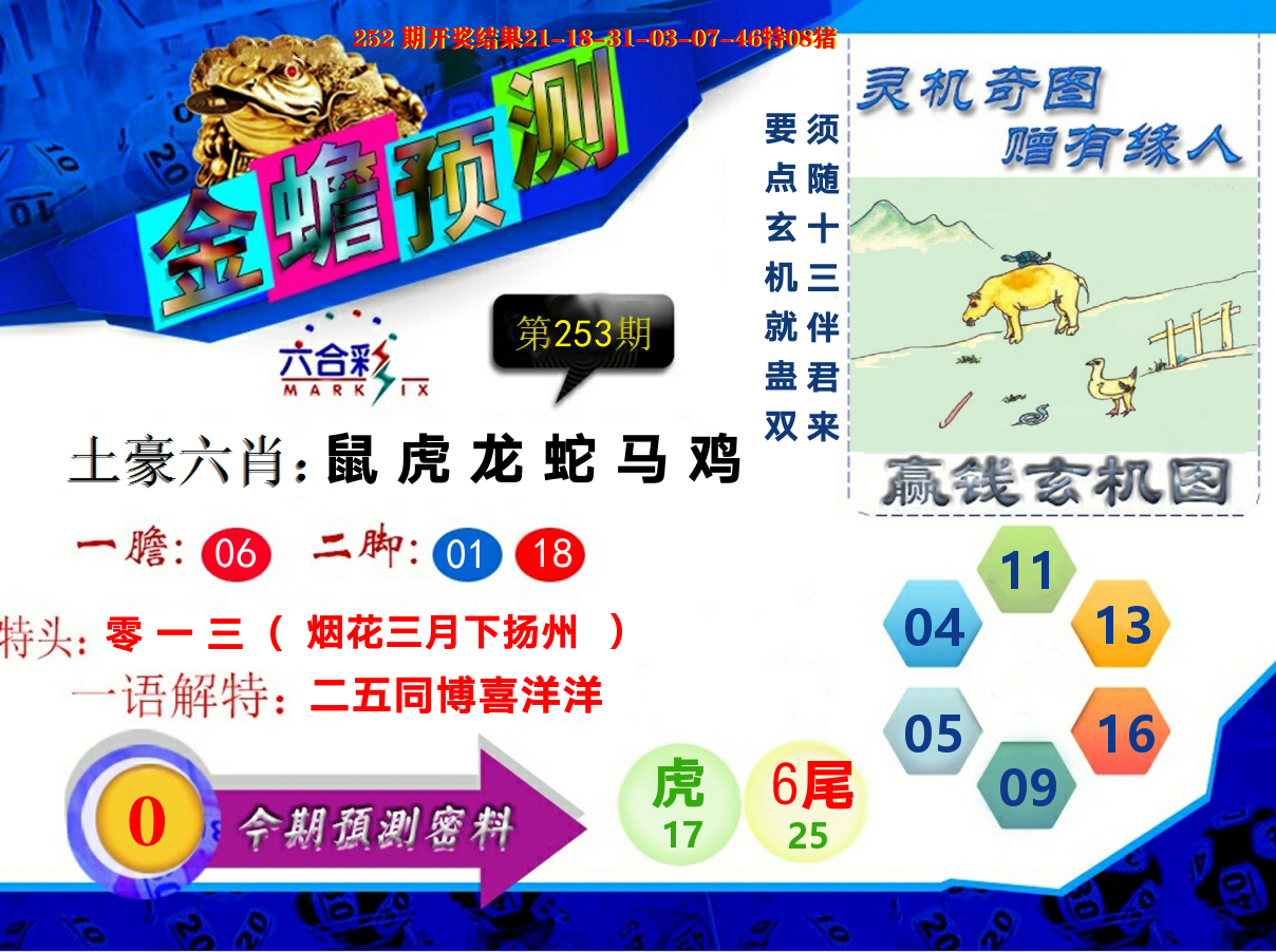 金蟾预测 第253期