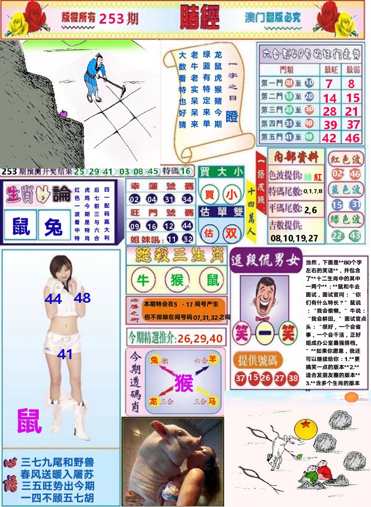 澳门赌经 第253期