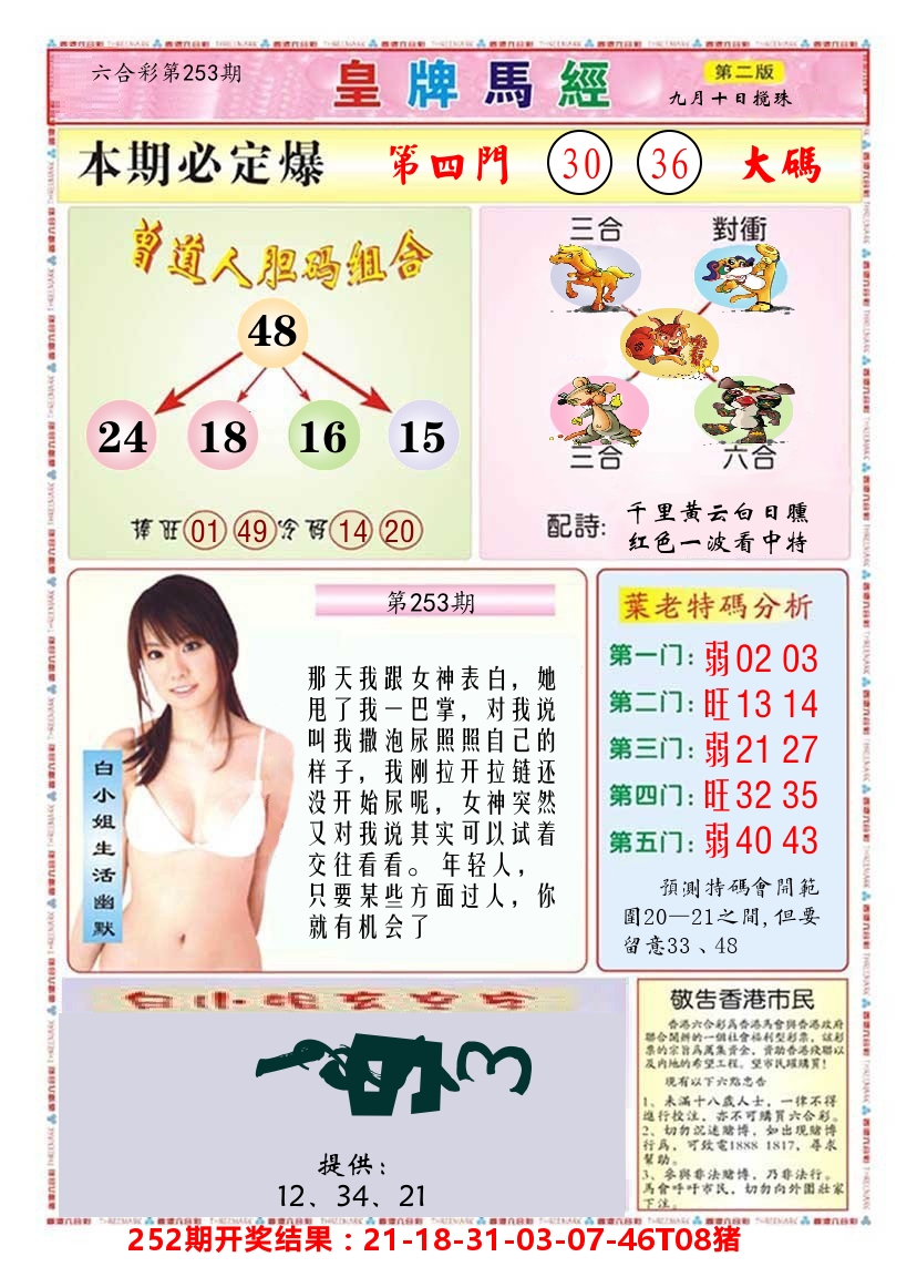 澳门皇牌马经B 第253期