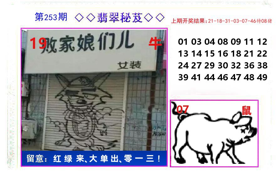 翡翠秘芨 第253期