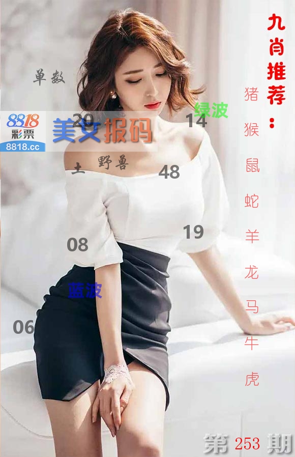 美女报码 第253期