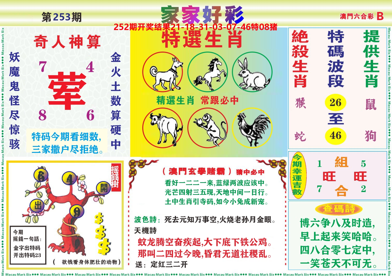 家家好彩B 第253期