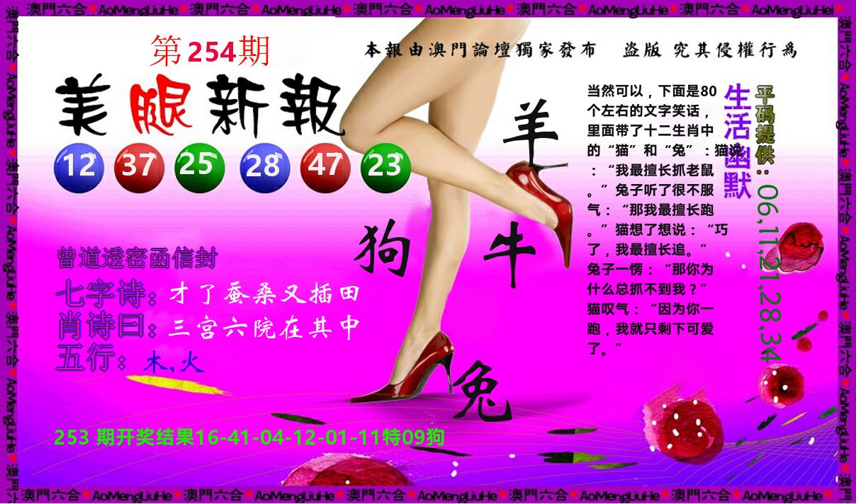 美腿新报 第254期