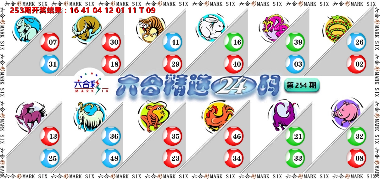 六合精选24码 第254期