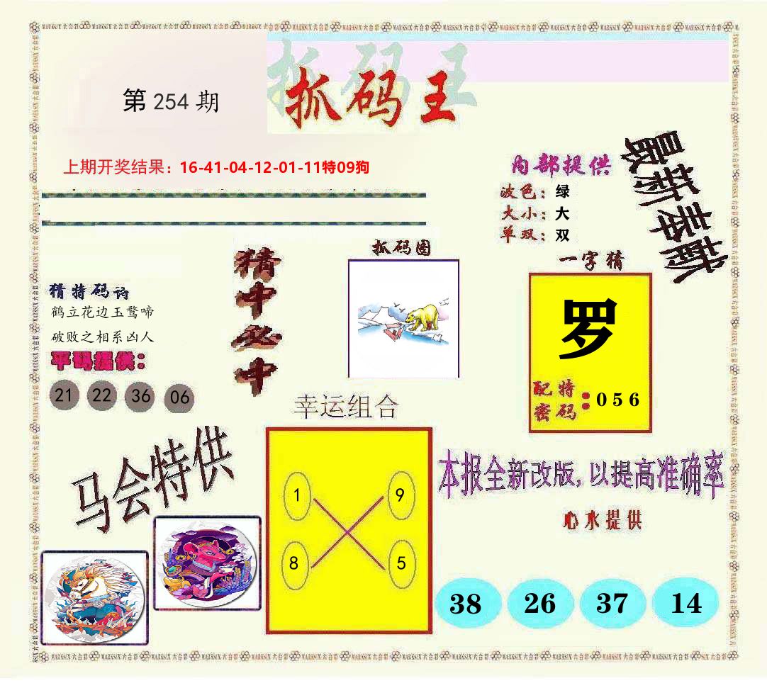 抓码王 第254期