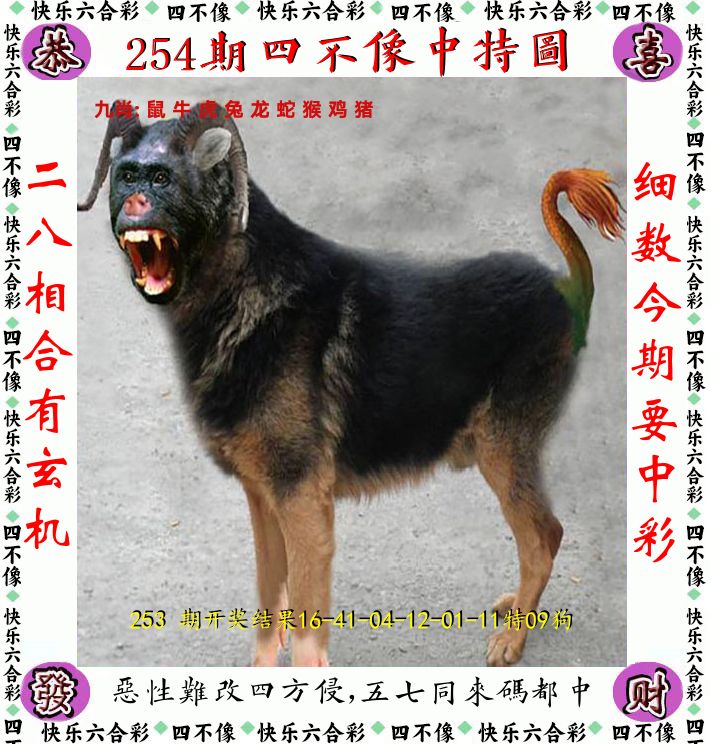 四不像 第254期