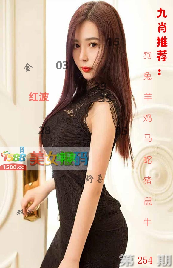 美女报码 第254期