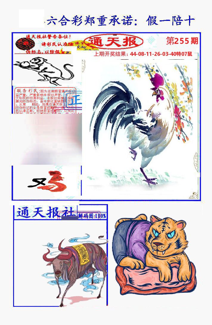 通天报 第255期
