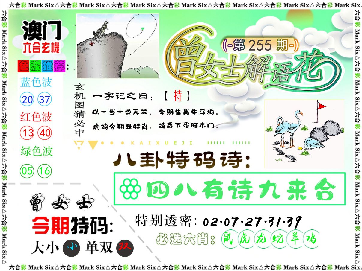 曾女士解语花 第255期
