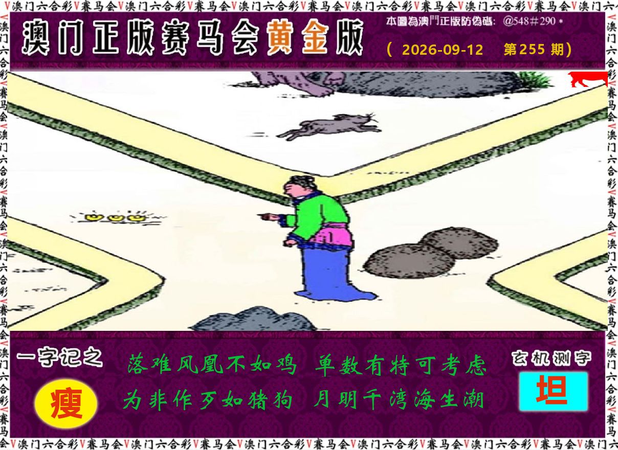 赛马会黄金版 第255期