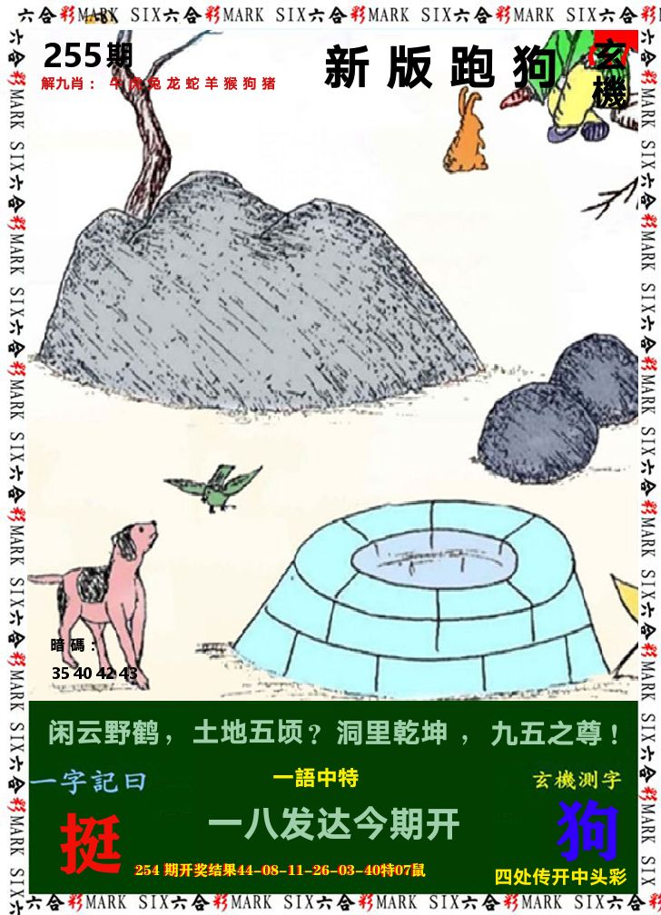 悟入其图 第255期