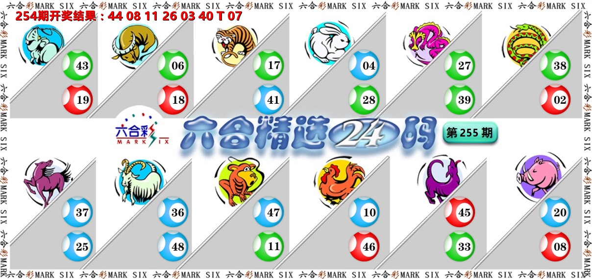 六合精选24码 第255期
