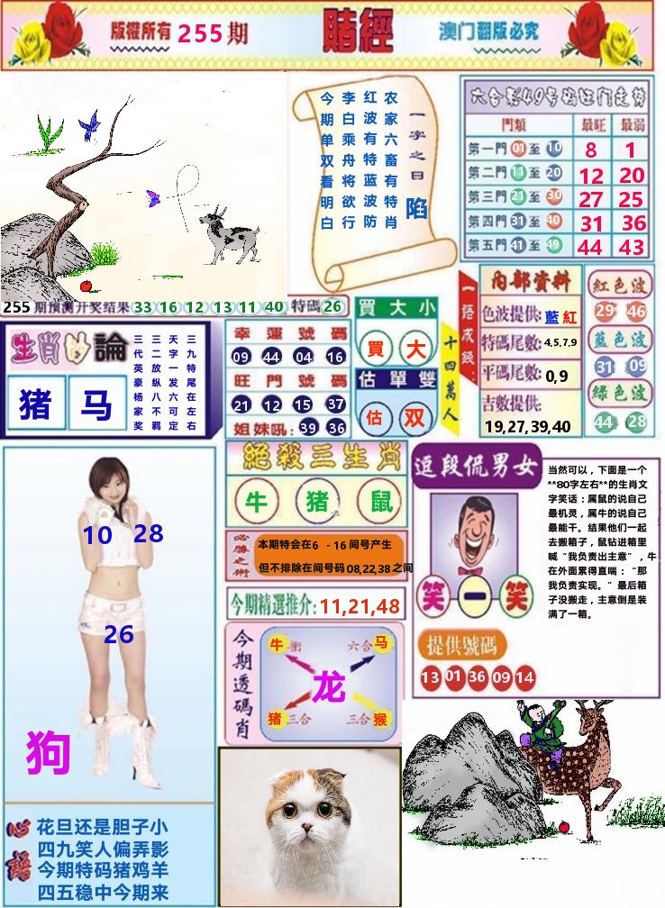 澳门赌经 第255期