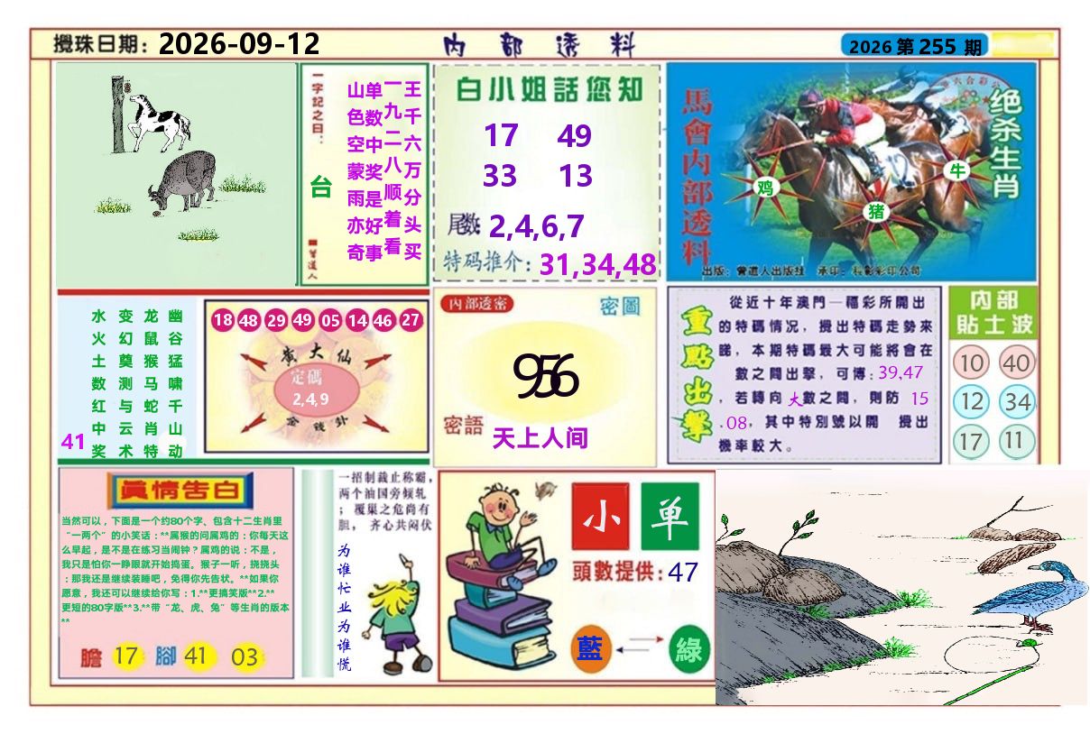 澳门内部透料A 第255期