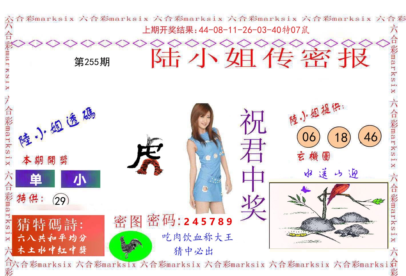 陆小姐密报 第255期