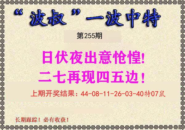 波叔中特 第255期