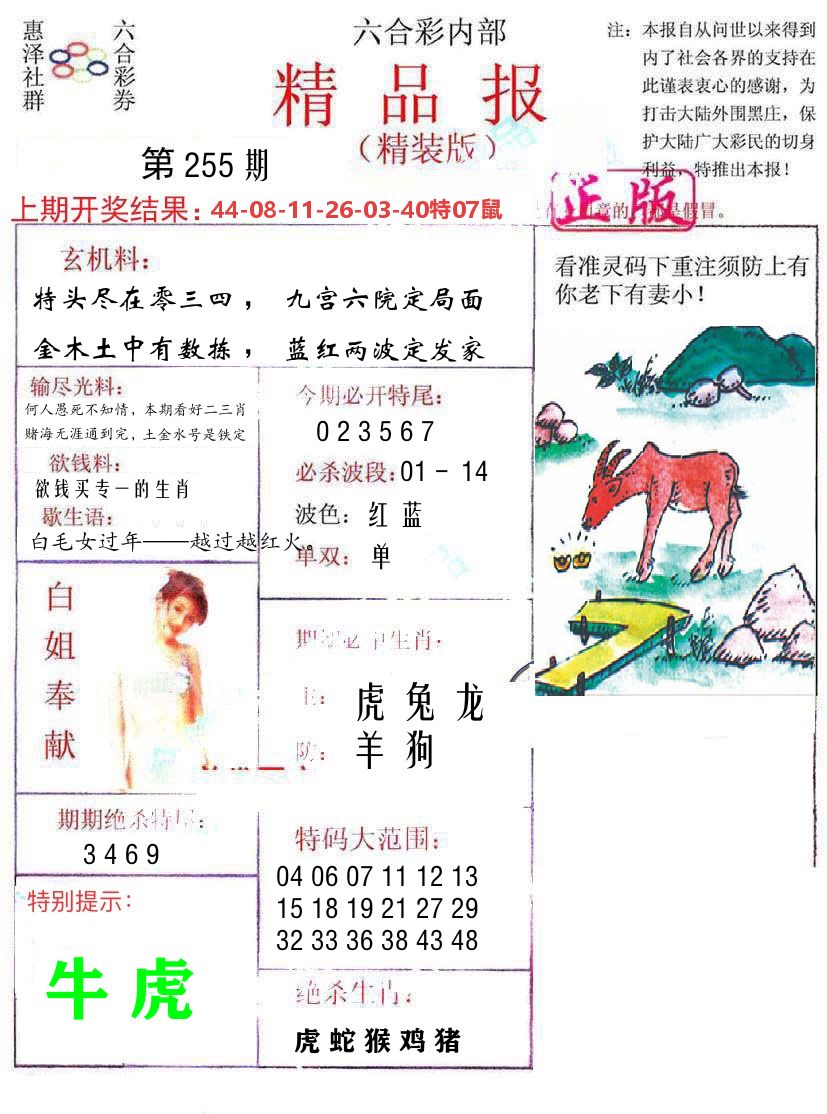 精品报 第255期