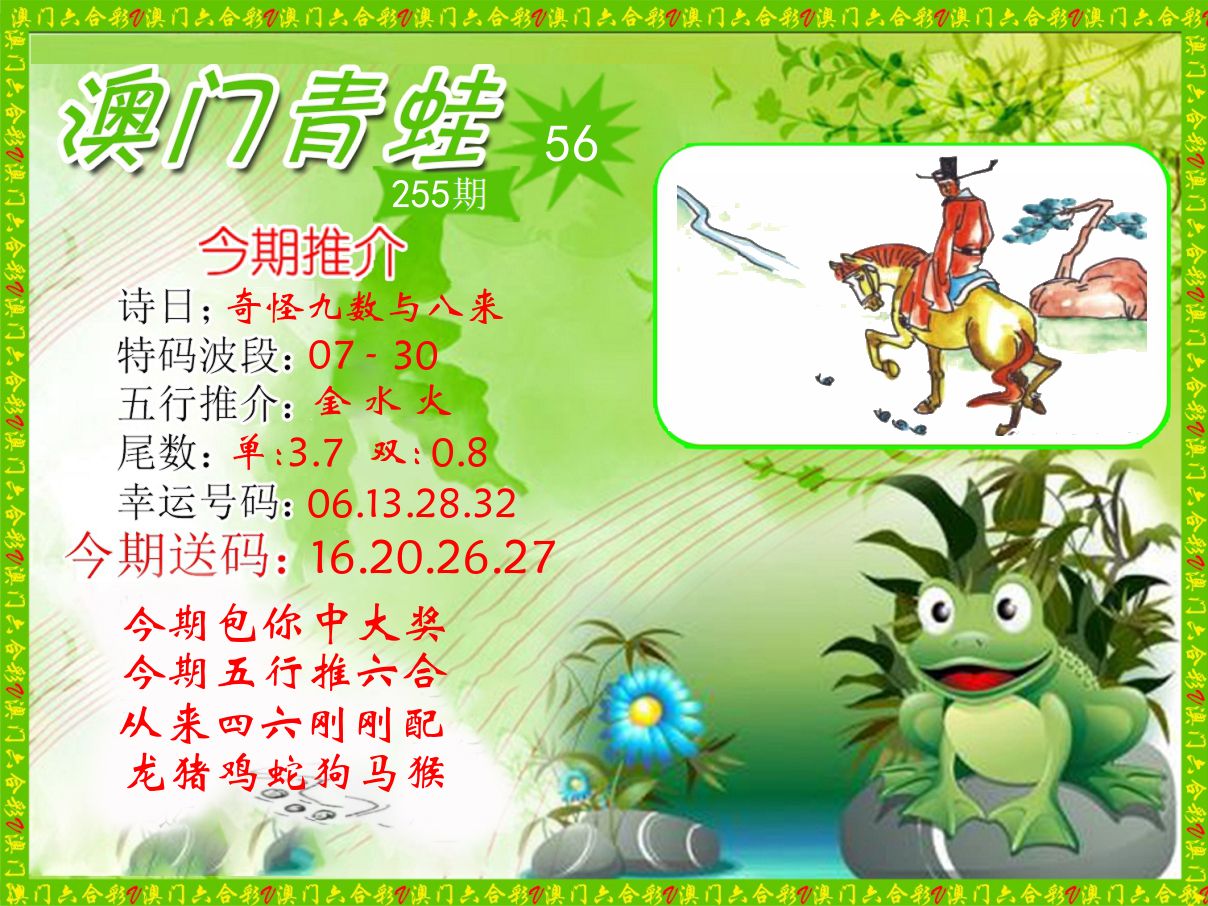 青蛙系列56 第255期