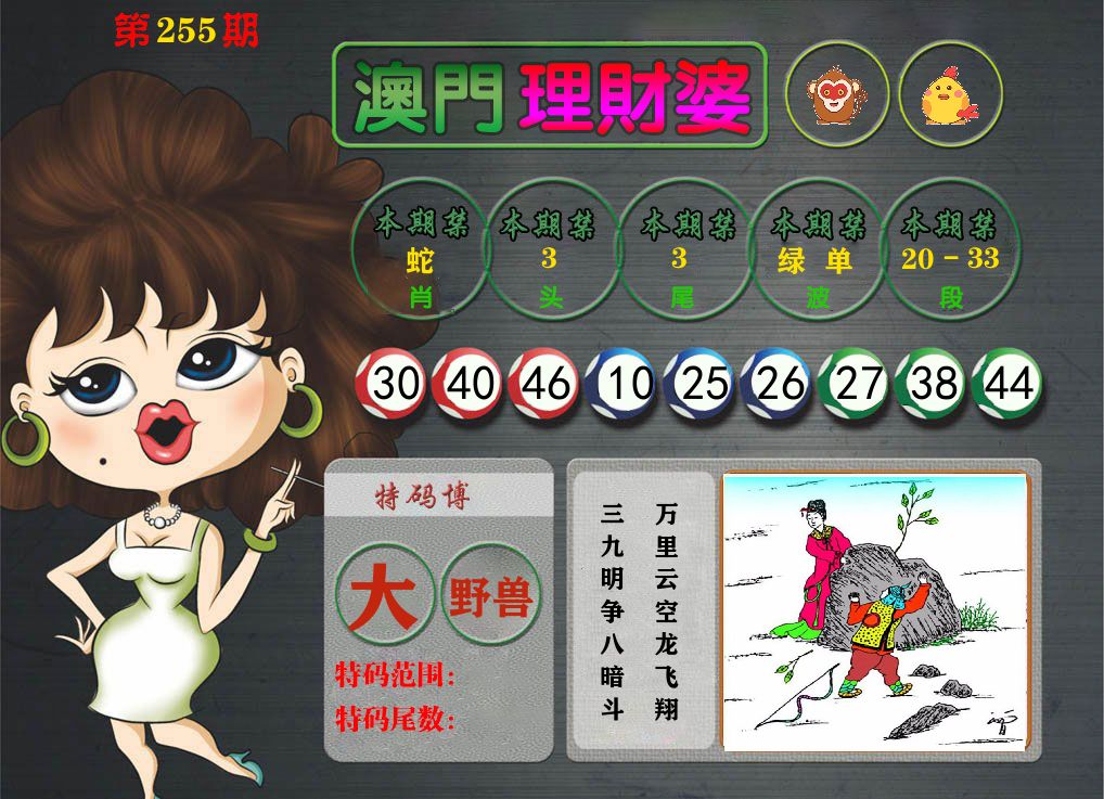 理财婆 第255期