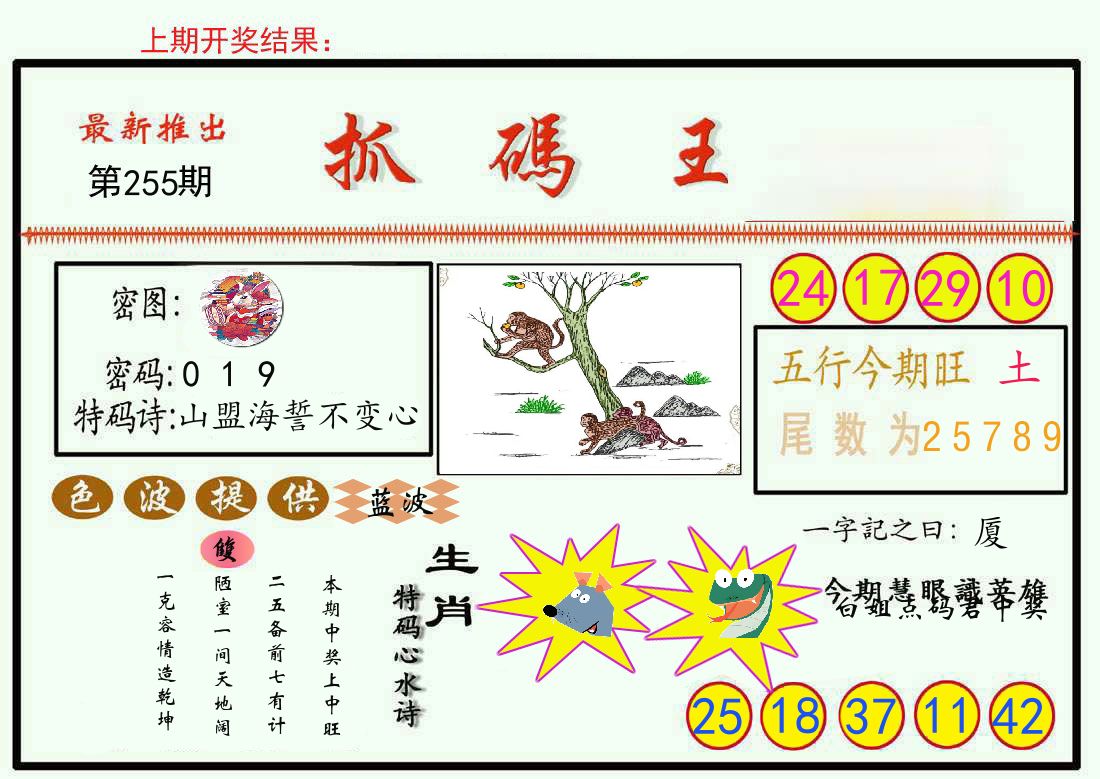 最新抓码王 第255期