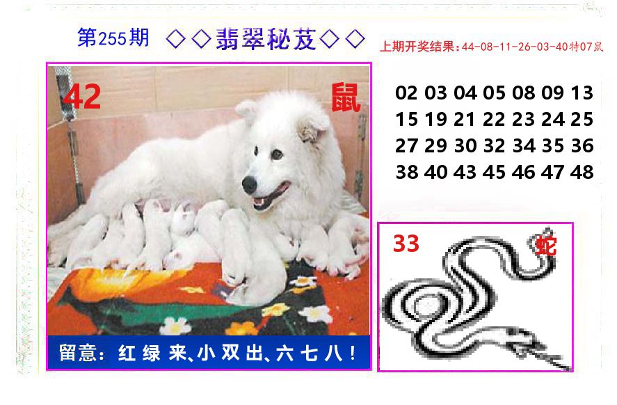 翡翠秘芨 第255期