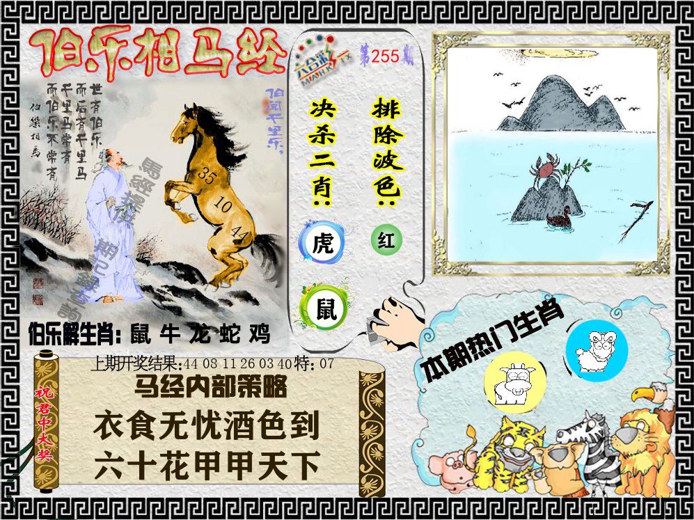 伯乐相马经 第255期