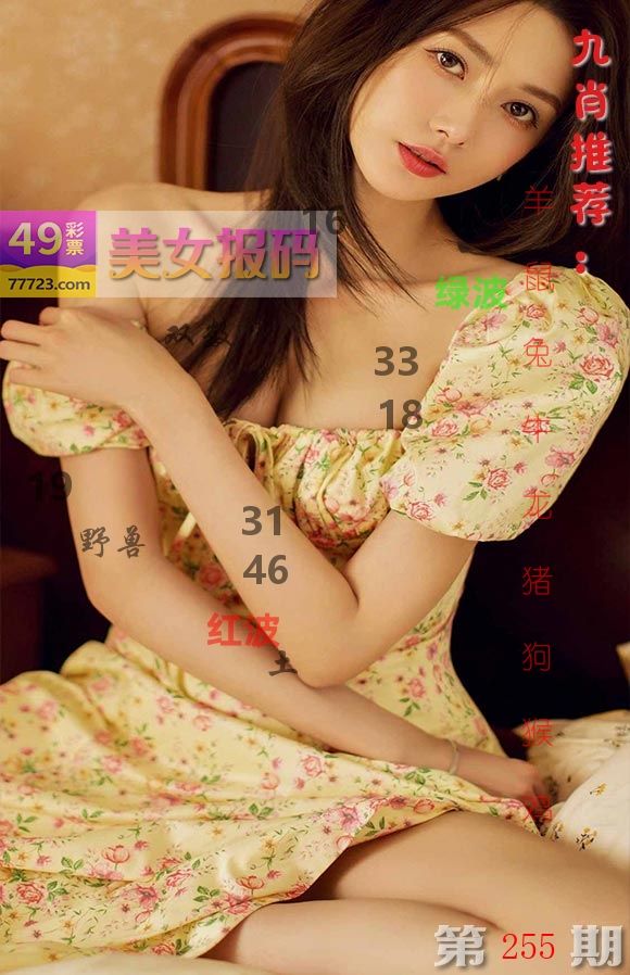 美女报码 第255期