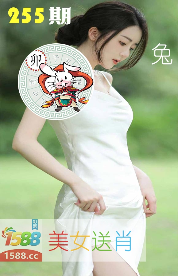 美女送肖 第255期