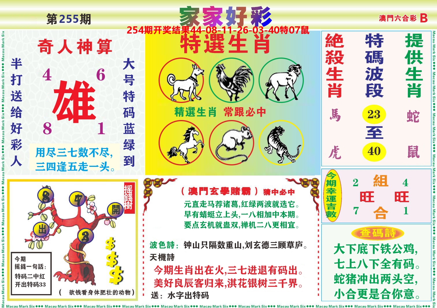 家家好彩B 第255期