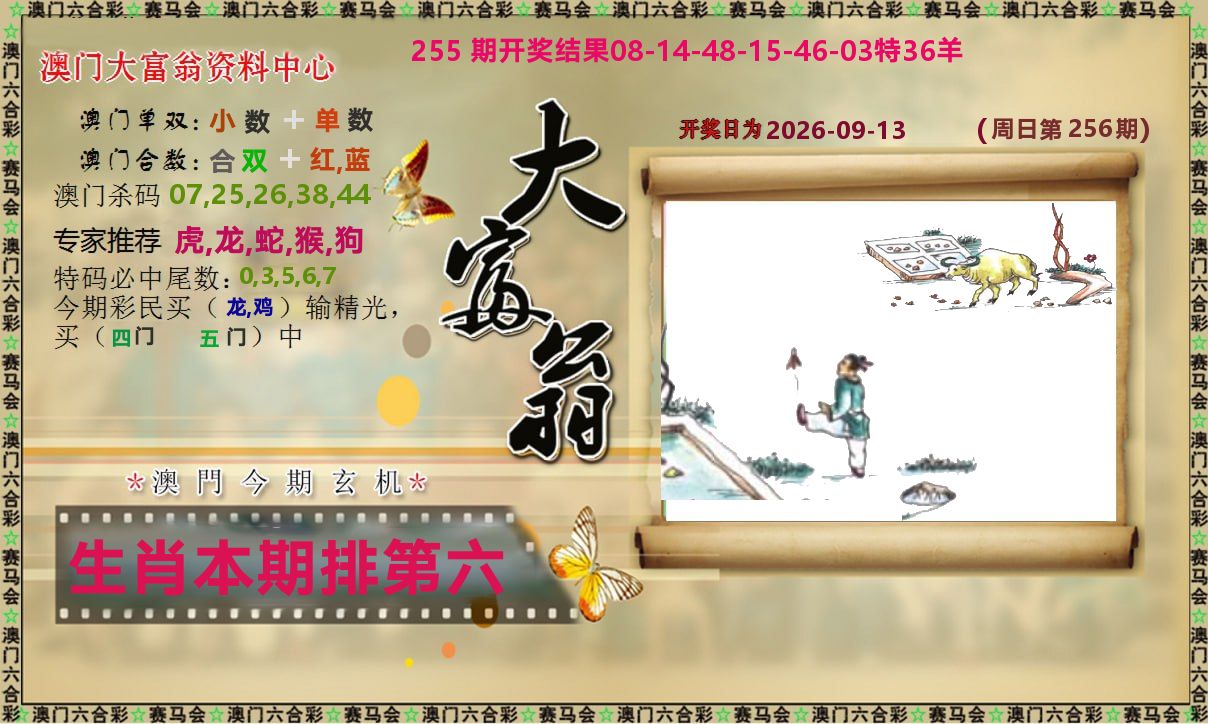 新大富翁 第256期