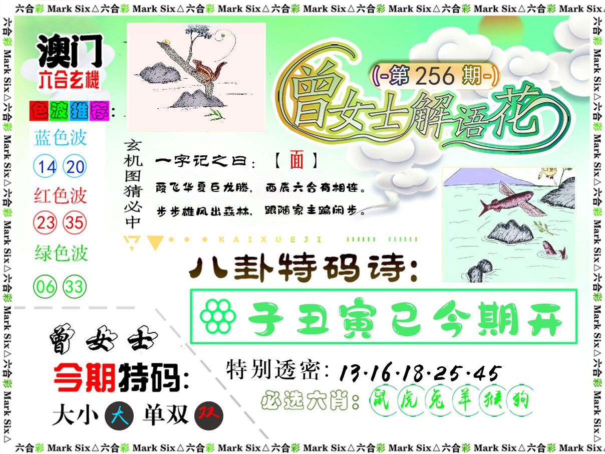 曾女士解语花 第256期