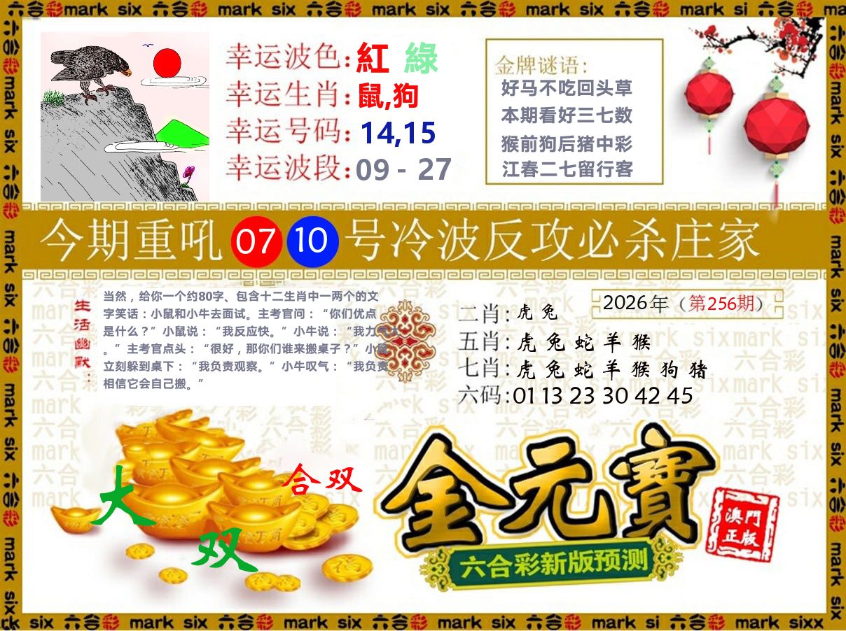 金元宝 第256期