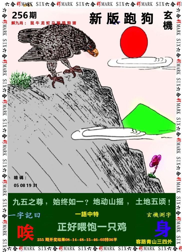 悟入其图 第256期