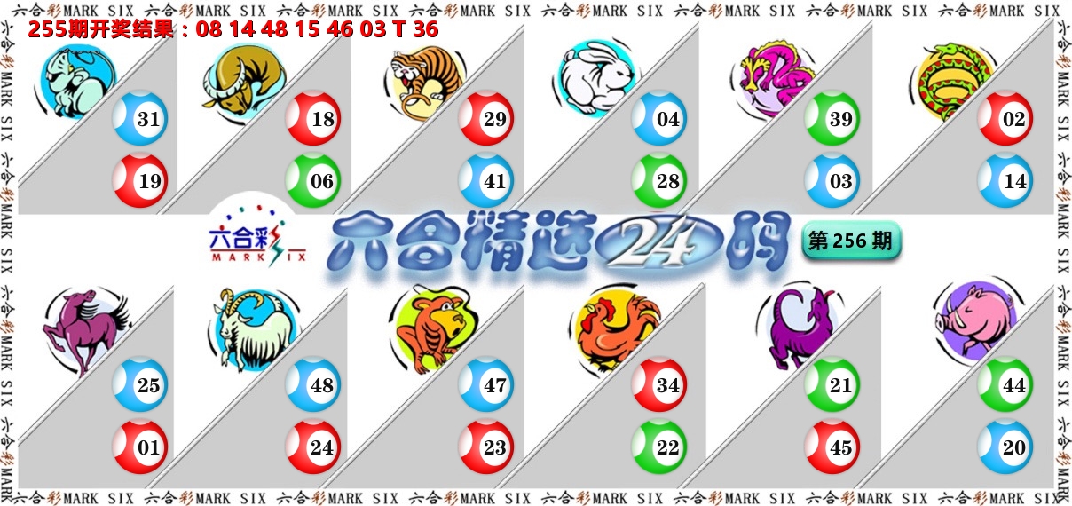 六合精选24码 第256期