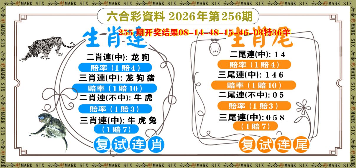 复试连 第256期