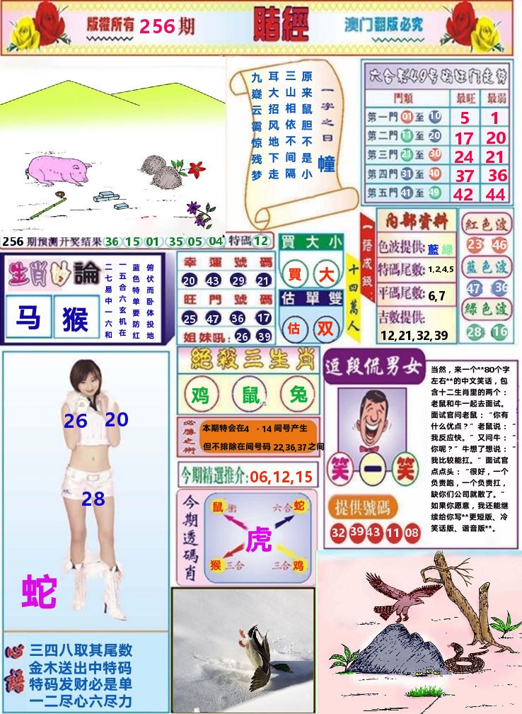 澳门赌经 第256期